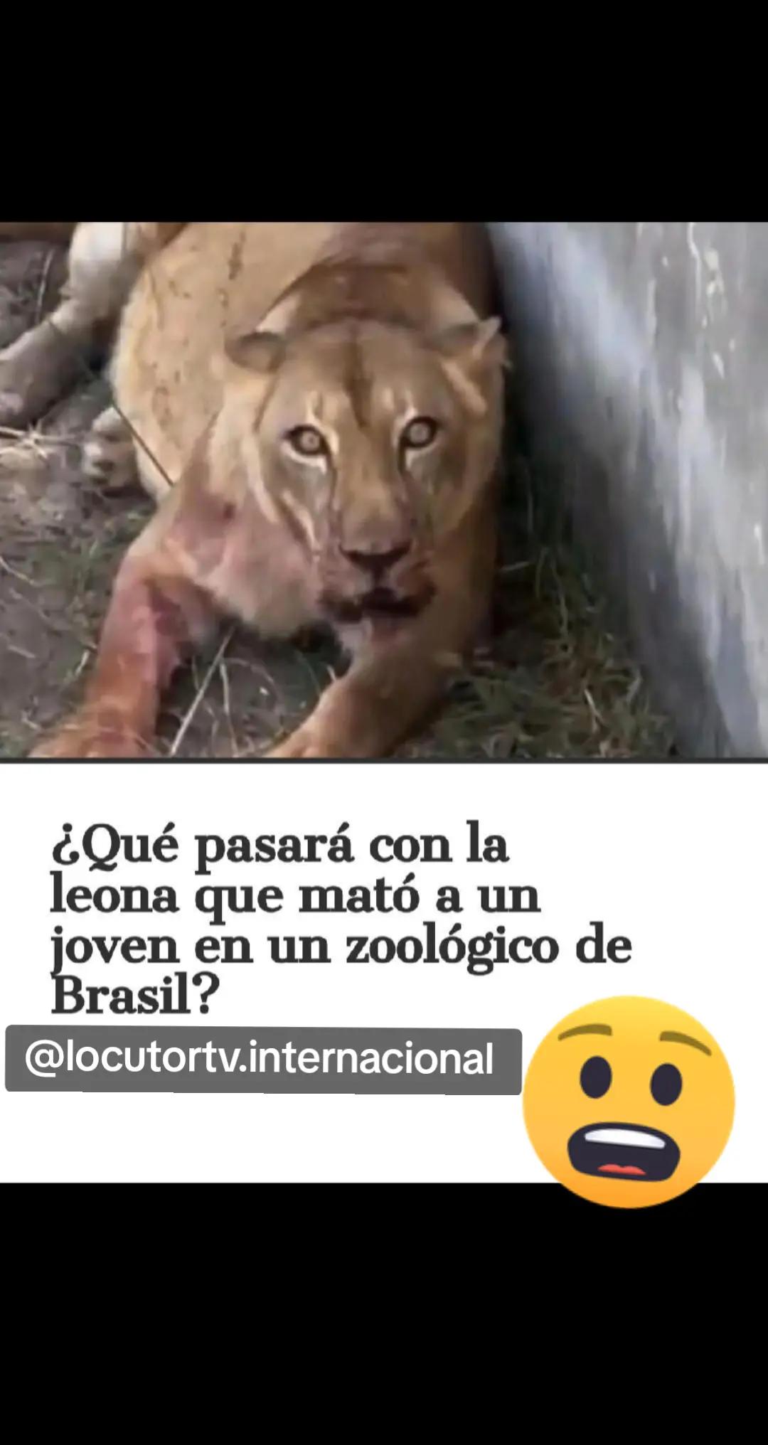 @tv visión latina 🇨🇱🇧🇴