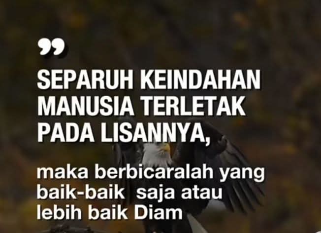 @CEO Abam sweet