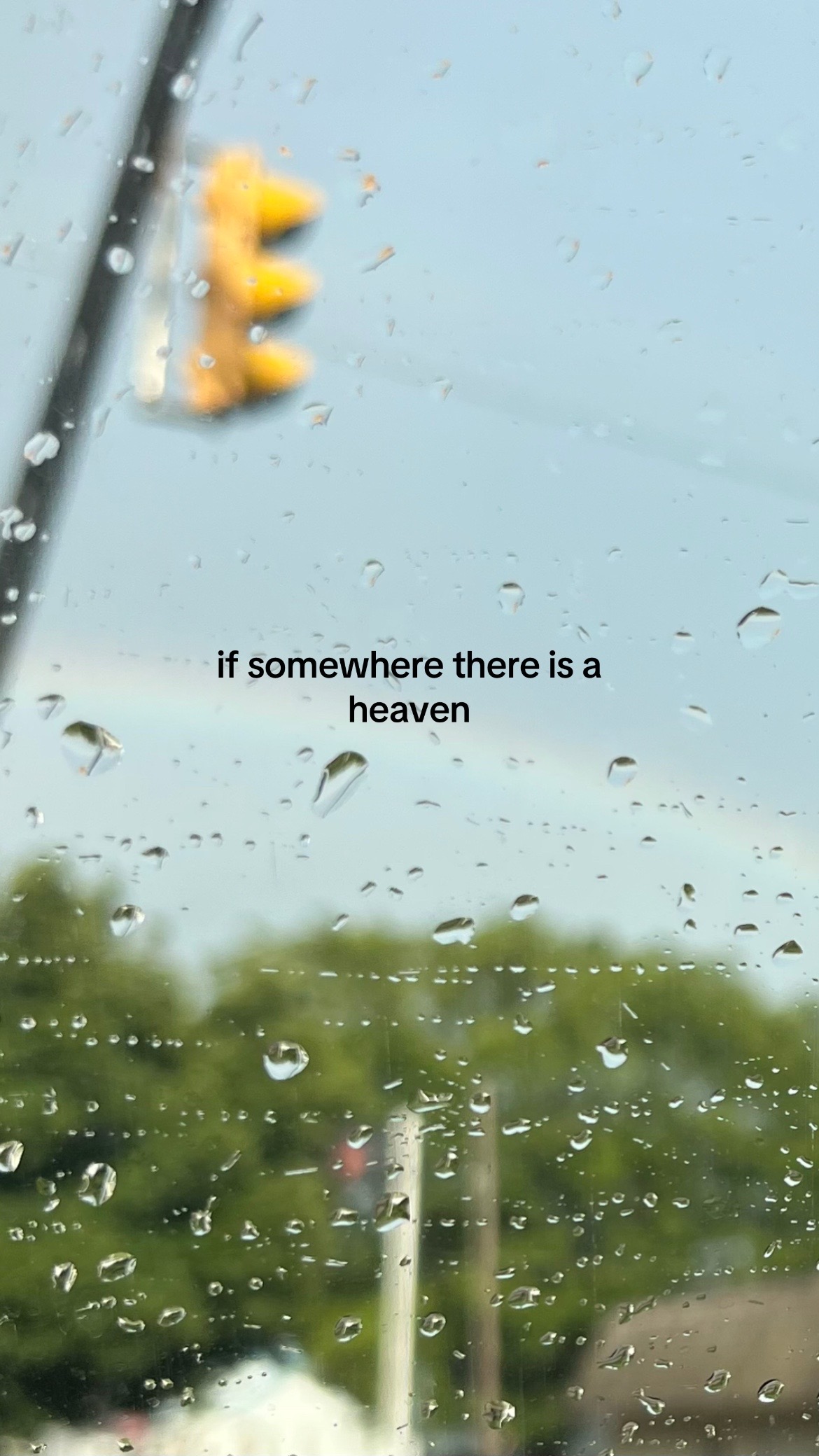 @𝐩𝐢𝐩𝐞𝐫 ⋆ ̊꩜ . 𖦹⋆˚꩜｡⋆