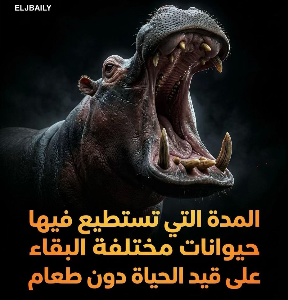 @🔘ELJBAILY_الجبايلي
