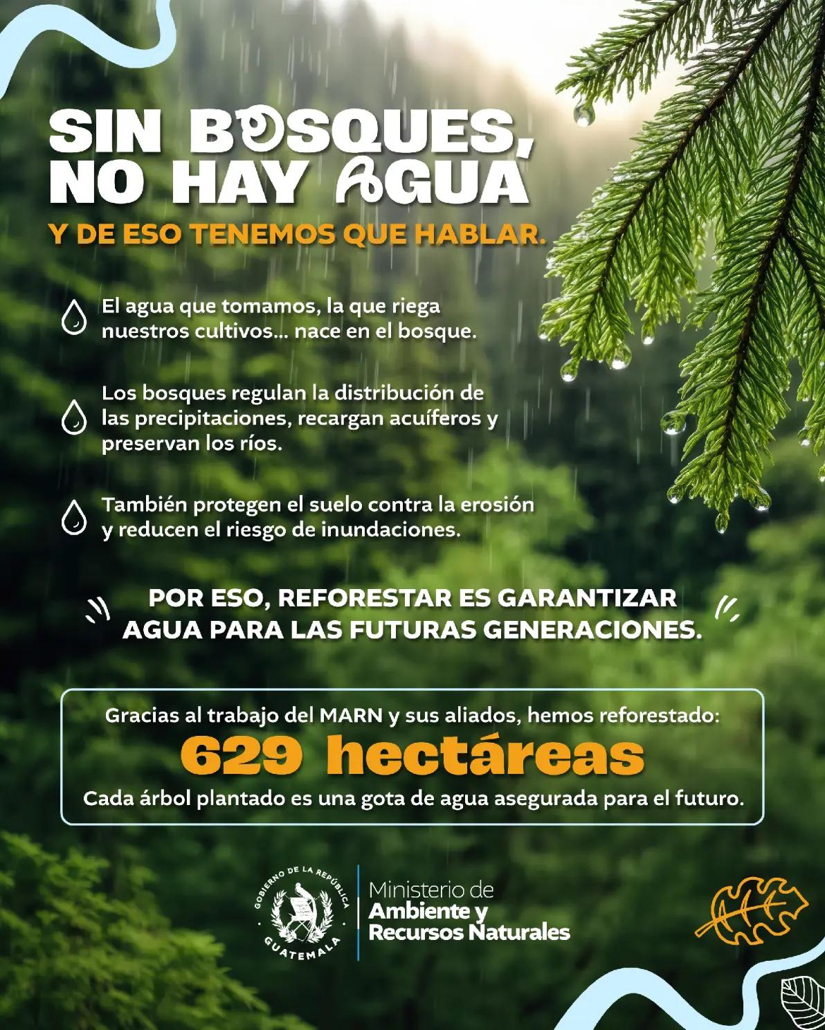 @Ministerio de Ambiente GT