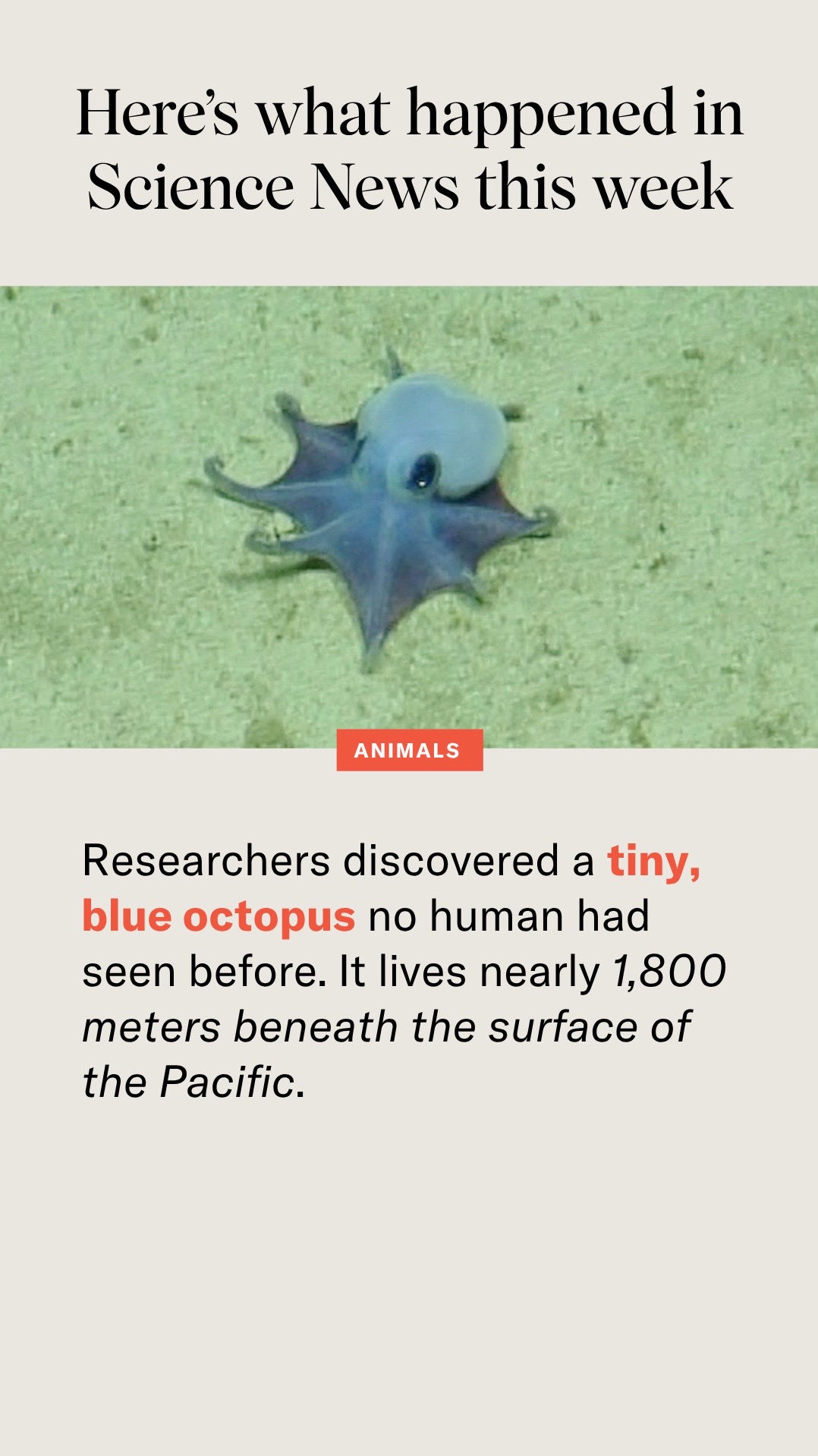 @Science News