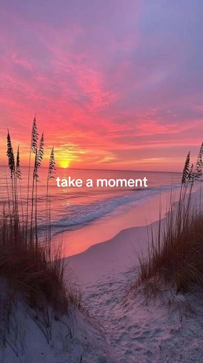 @Steele79193307