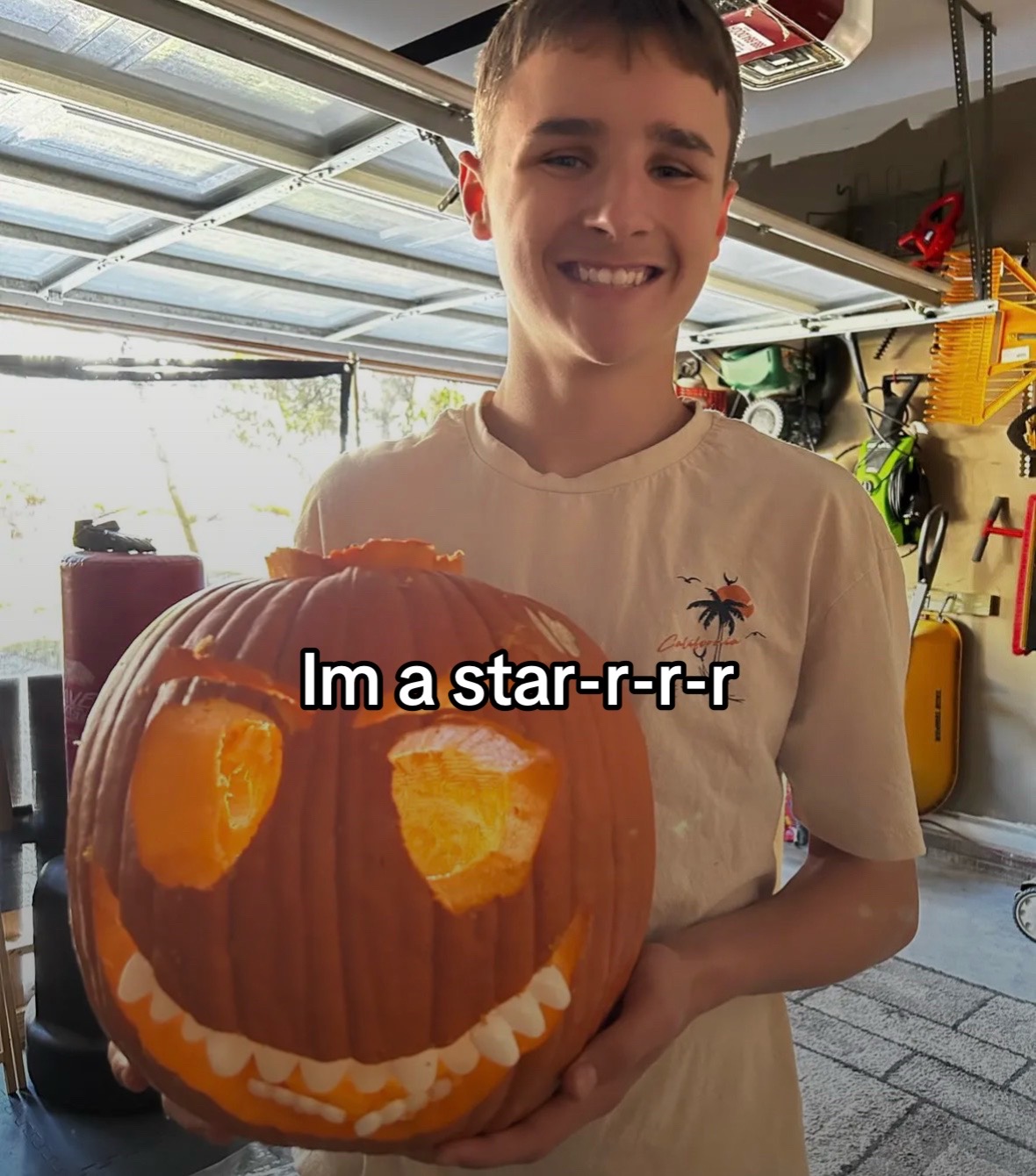 @justleland