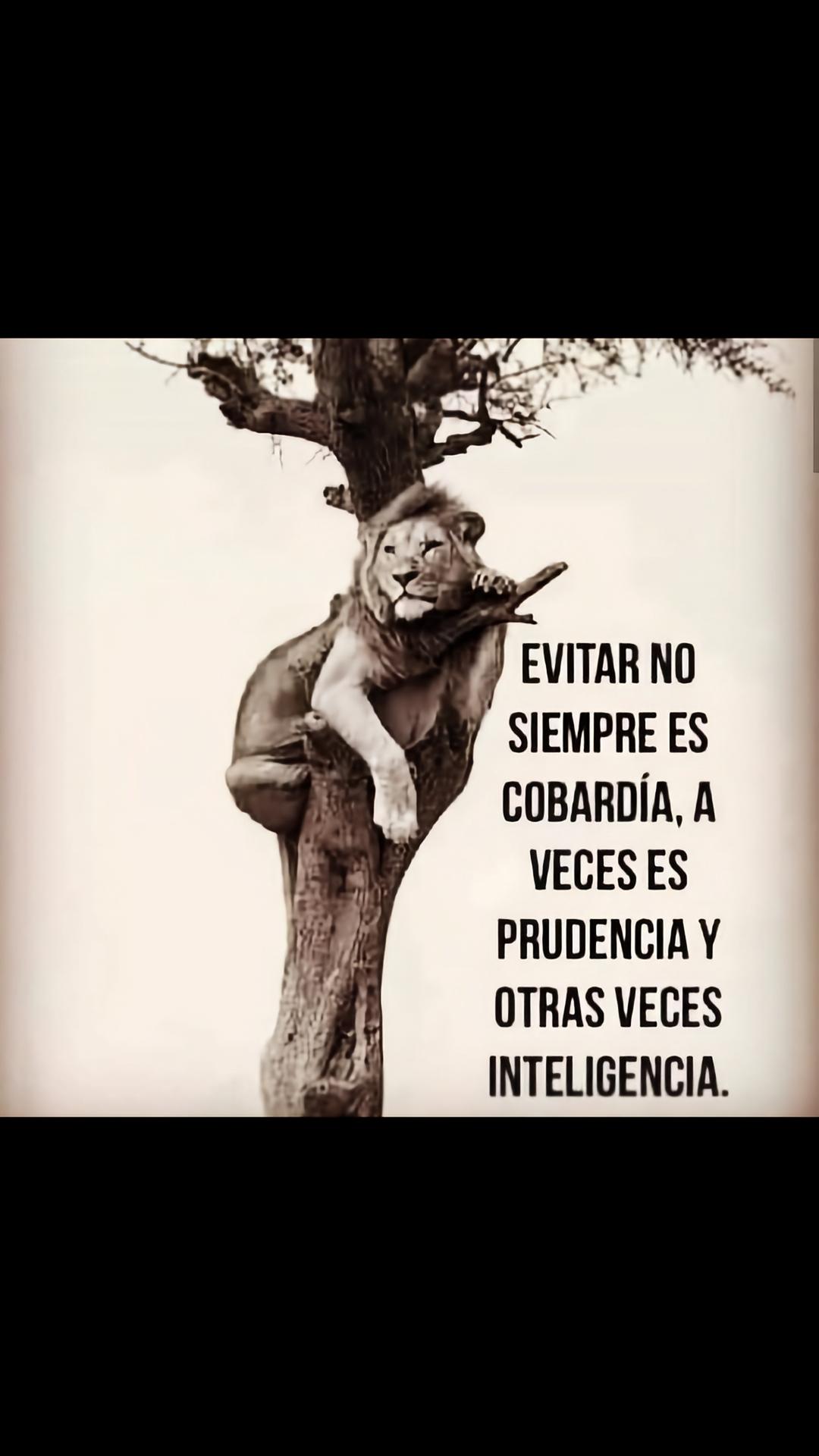 @lapiratadelcaribe_lajefaRH