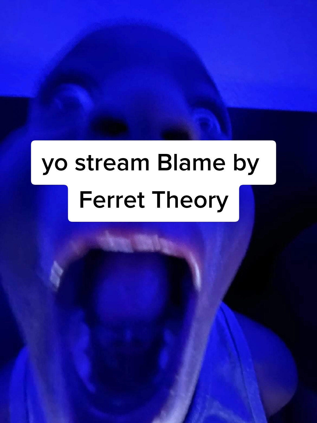 @Ferret Theory