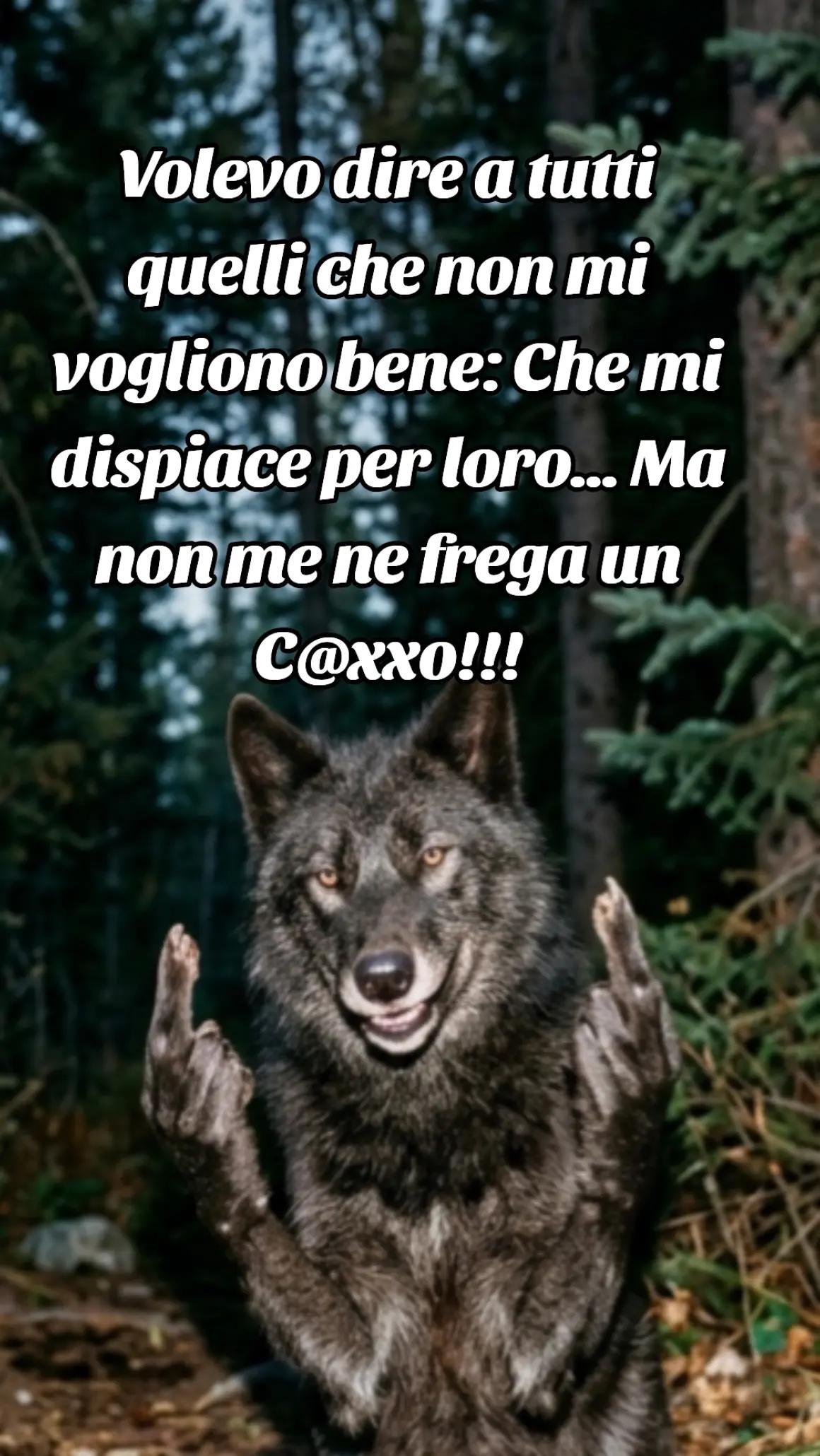 @🐺🗽Crazy Wolf.