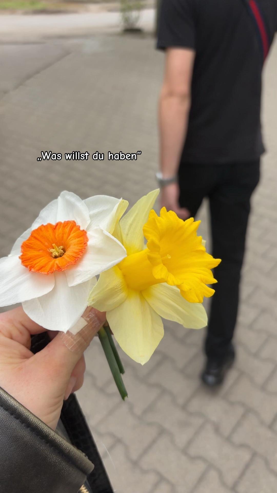@𝐔𝐬𝐞𝐫𝐁𝐞𝐫𝐥𝐢𝐧𝐨