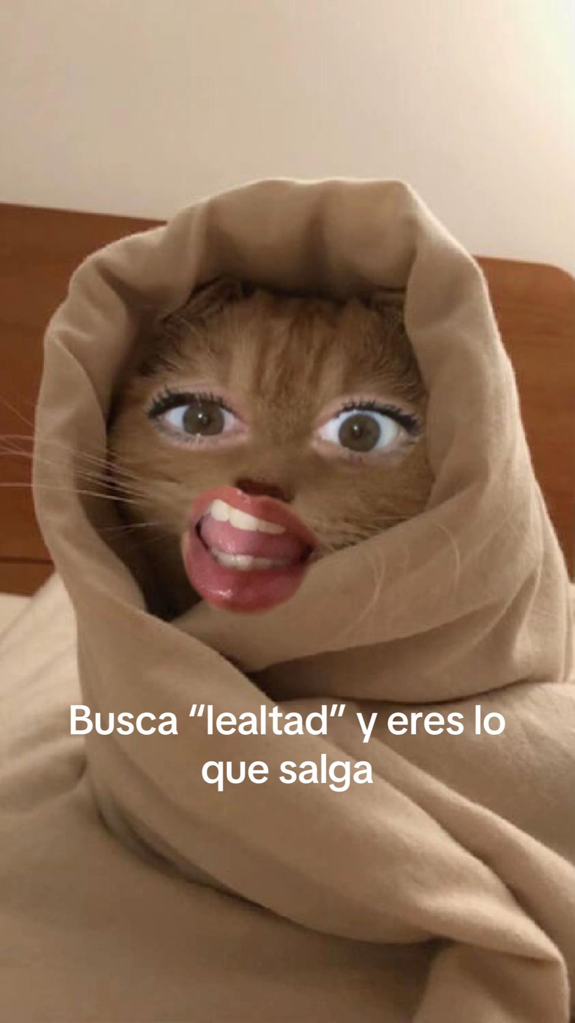 @Cristina
