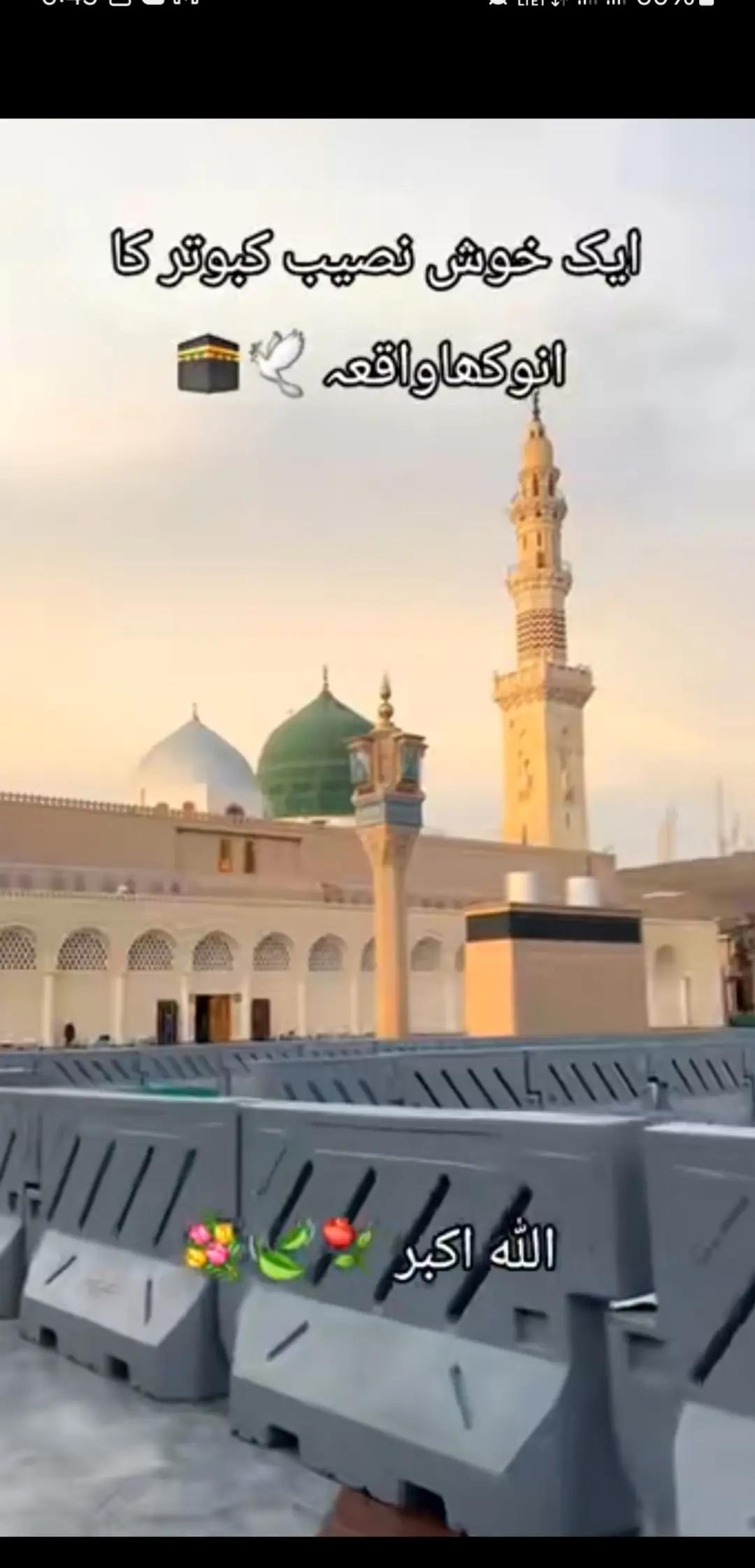 @Raja Hassan
