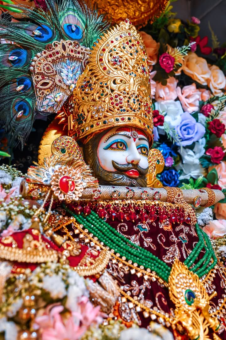 @shree shyam premi🫶🚩🕉️✨