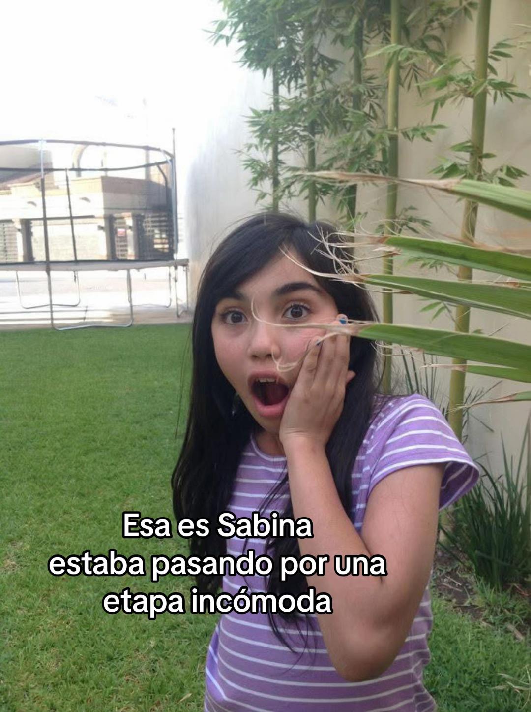 @sabinafriasag