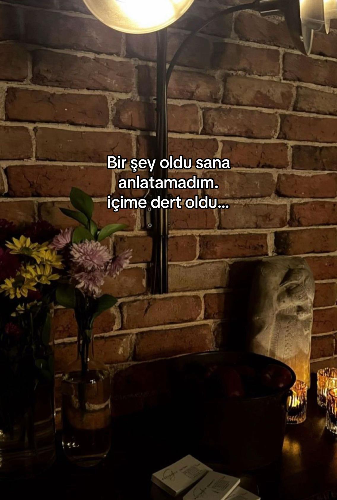 @seviyorgibiydin24