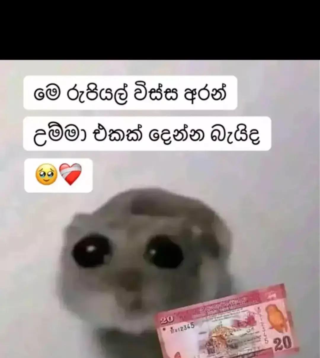 @🍎🐇Thilini M Senavirathna🍎🐇