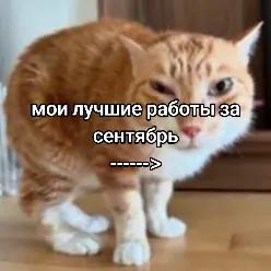 @CHIFFALA