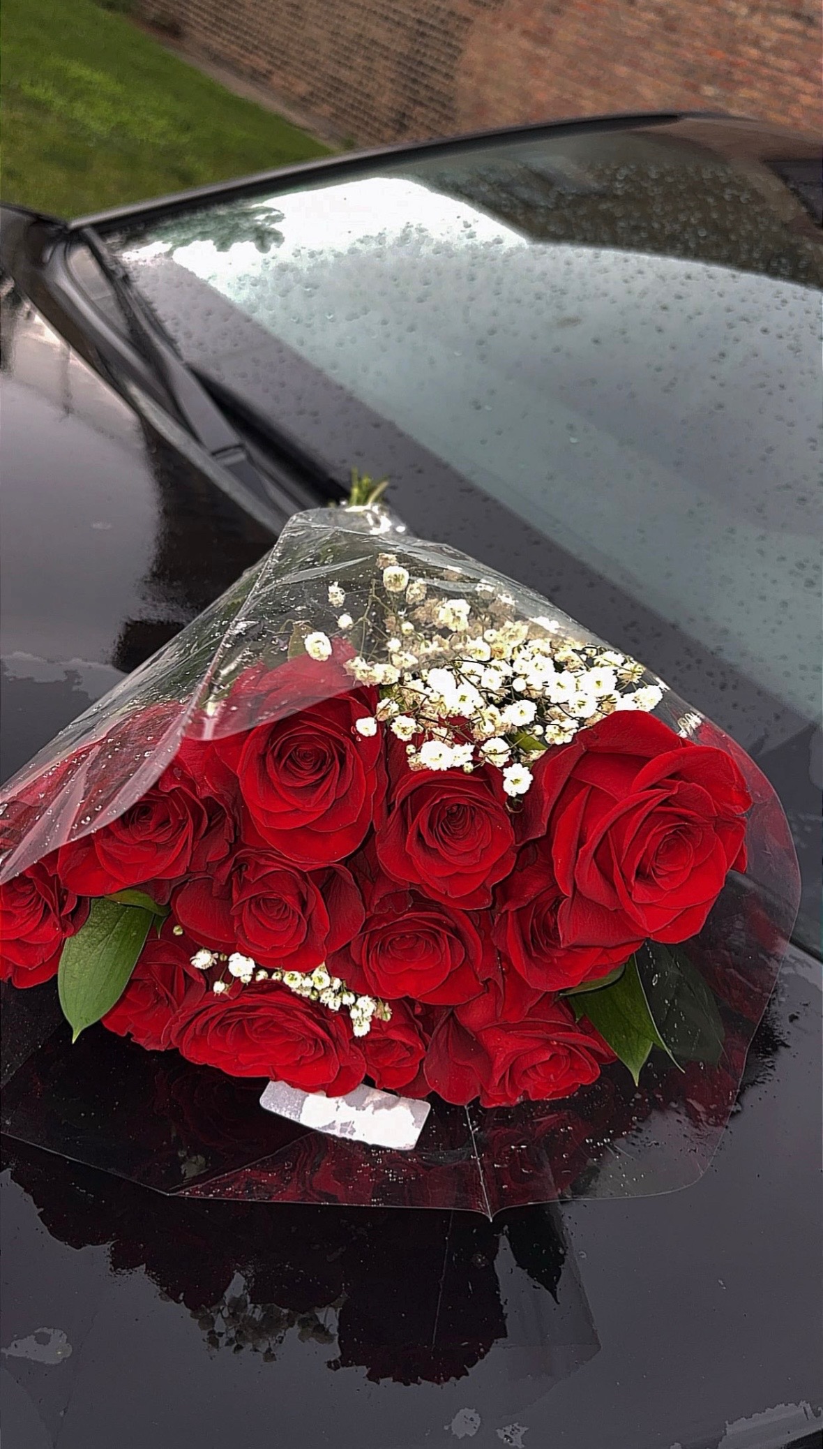 @Kᥲrᥣᥲᥲ🩶