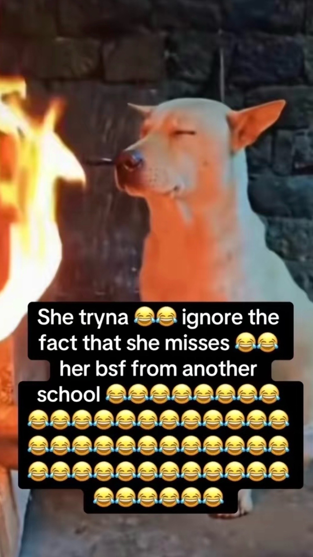 @@