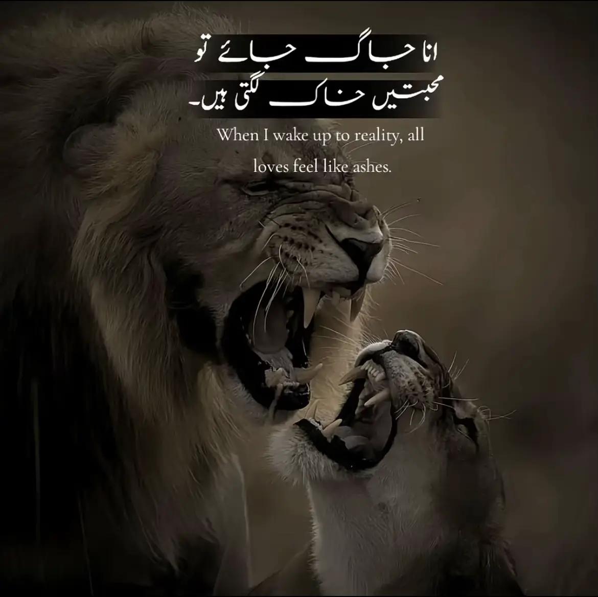 @MianBrand991
