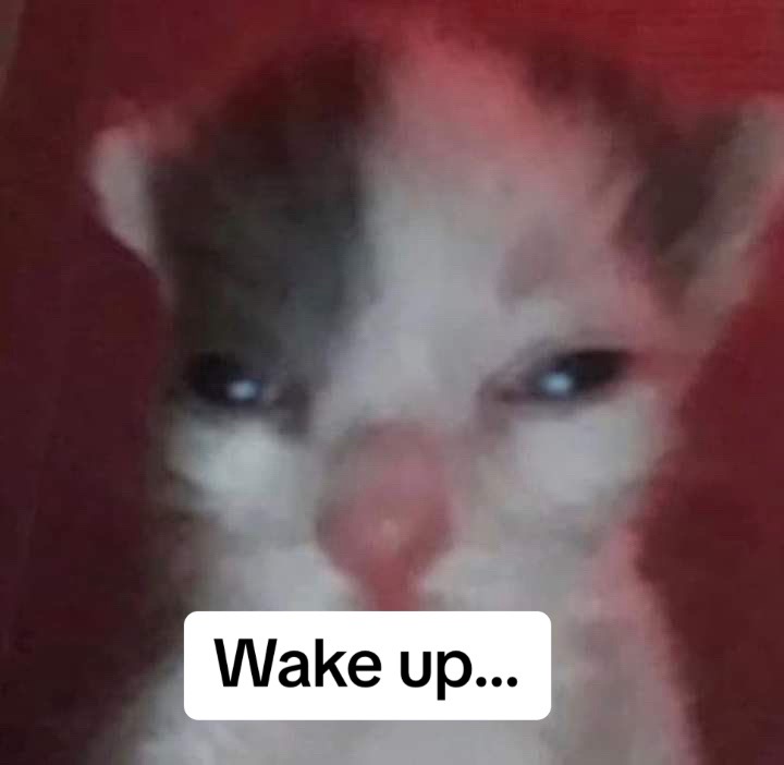 @Ally