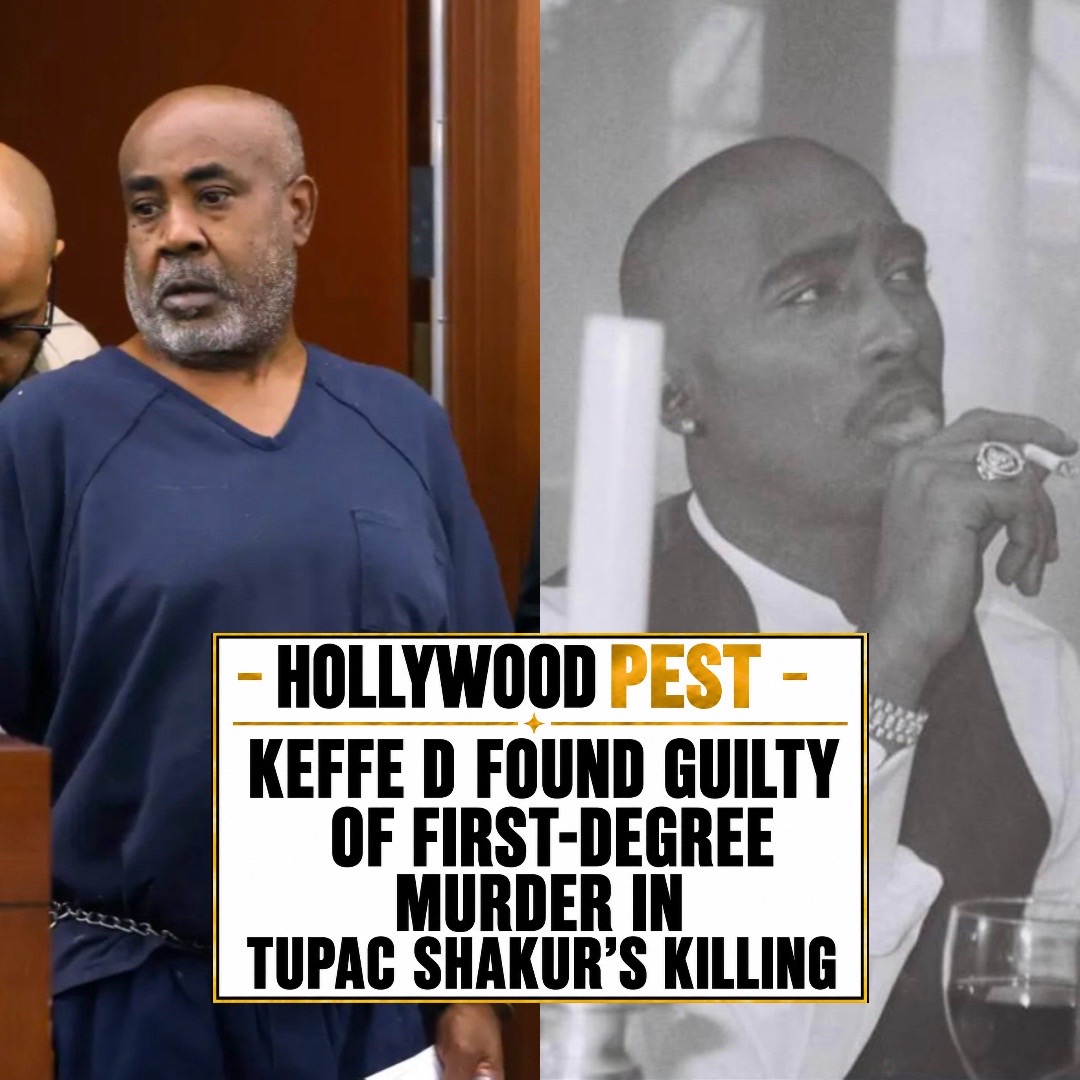 @Hollywoodpest Press