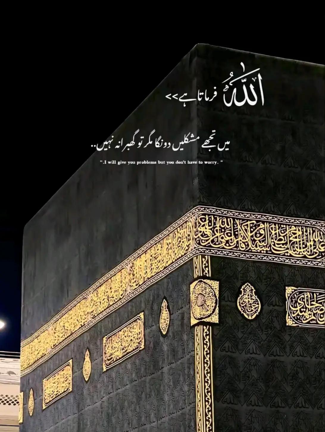 @حسنین علی✨🌸