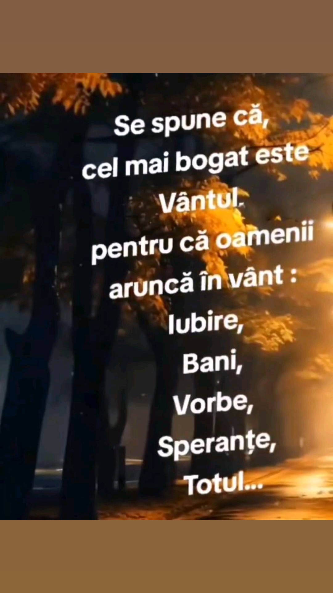 @Petrescu Monica