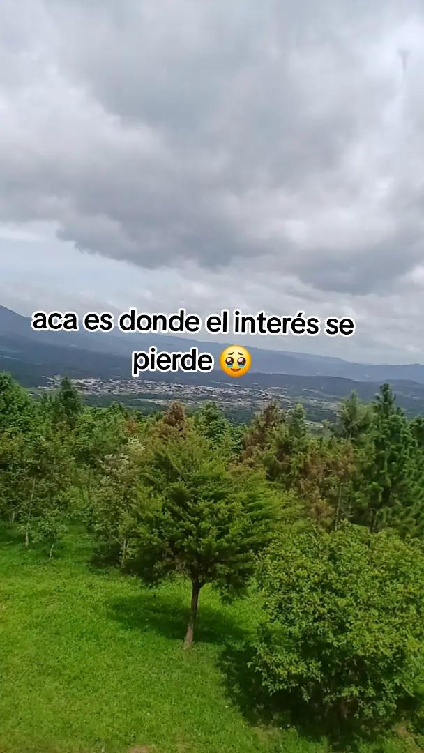 @Vane10120