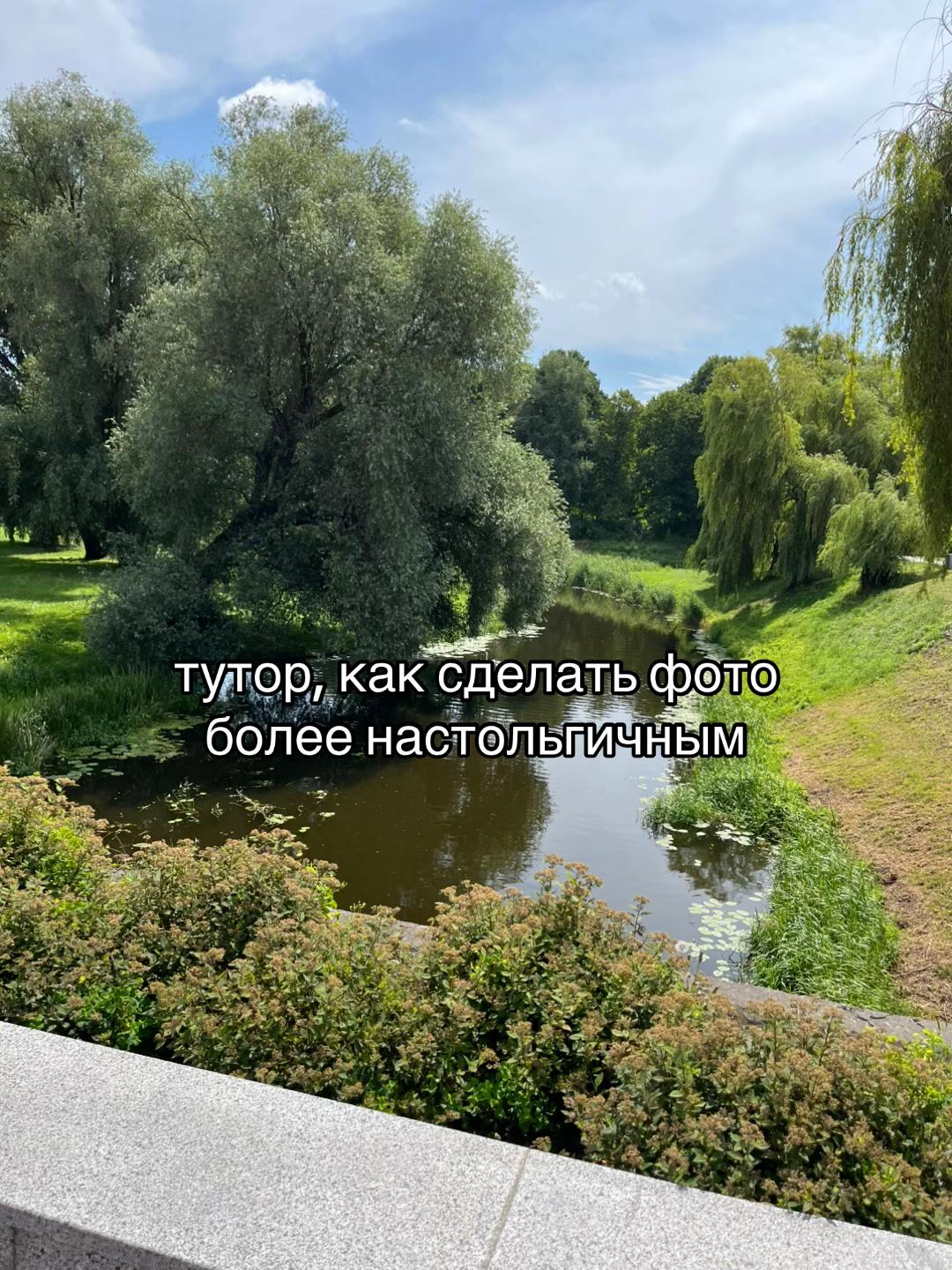 @шимпанзе777
