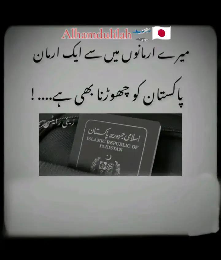 @Taلha 🇯🇵