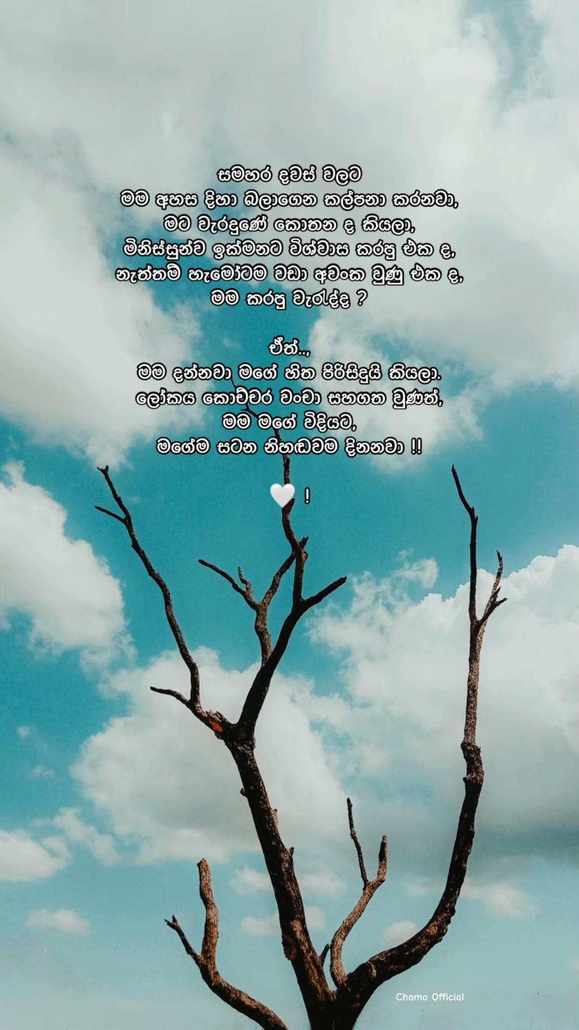 @< 𝐂𝐡𝐚𝐦𝐨 ᥫ᭡
