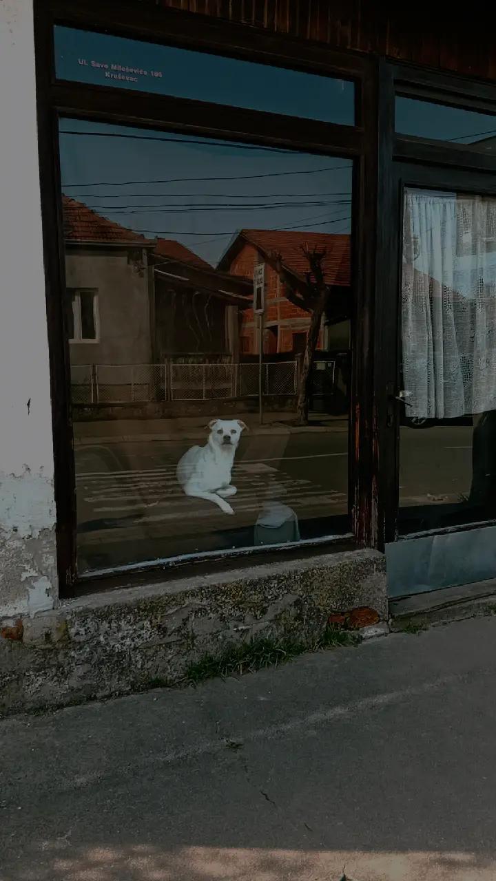 @Ina Hinić 💙