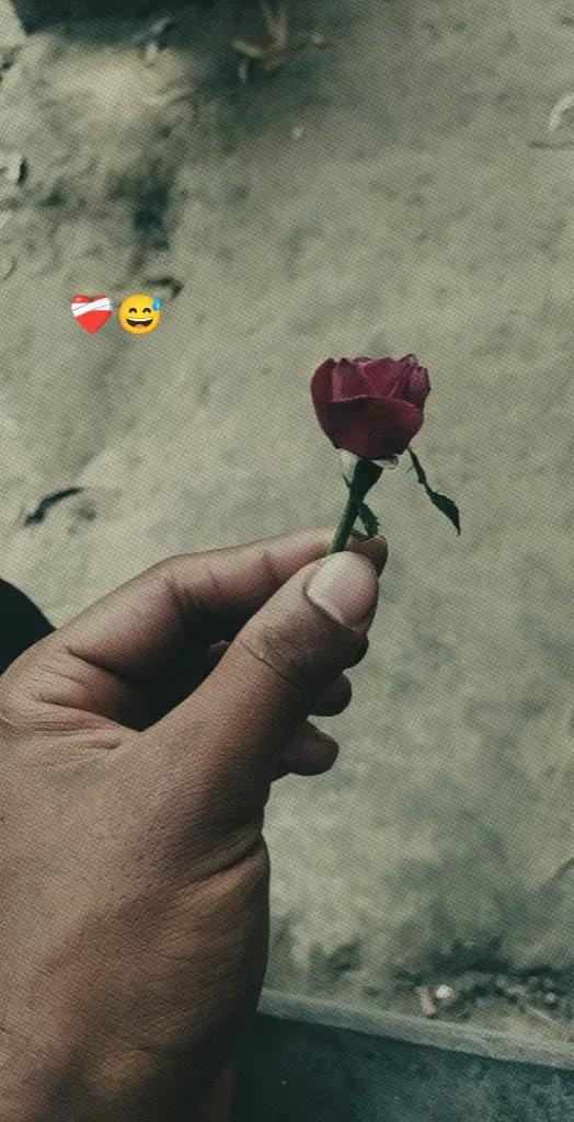 @Ariyan Emon