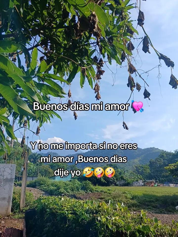 @El Tío Chilio 🧃💯💥💫