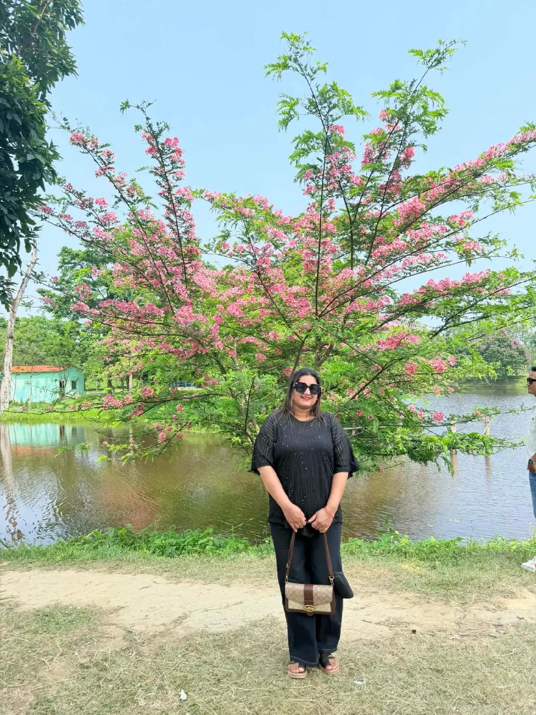 @khinabajgai6