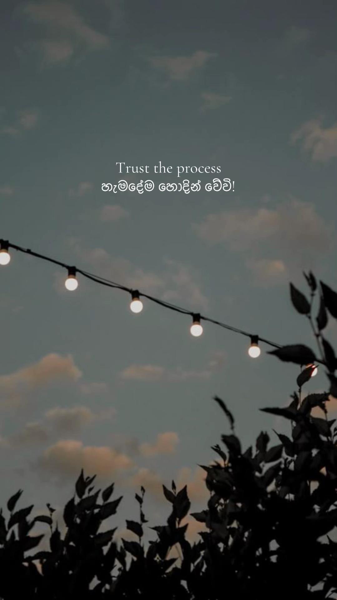 @Nihara Rajapaksha