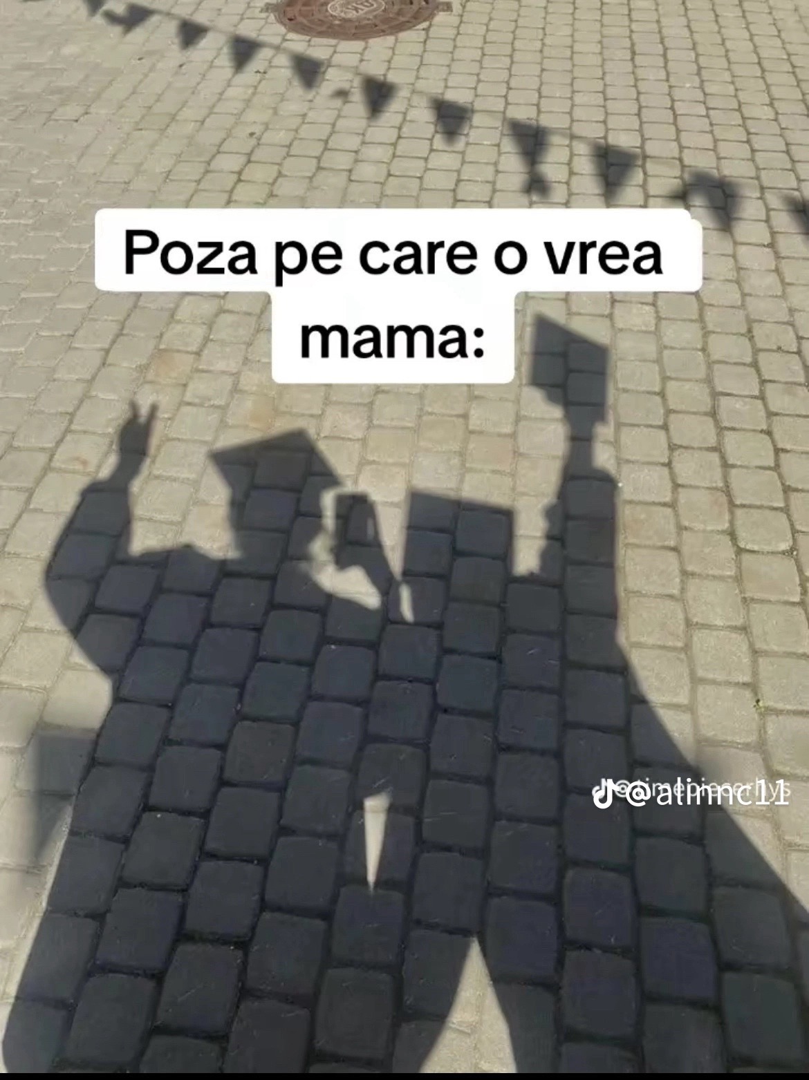 @Iulian Boanches 