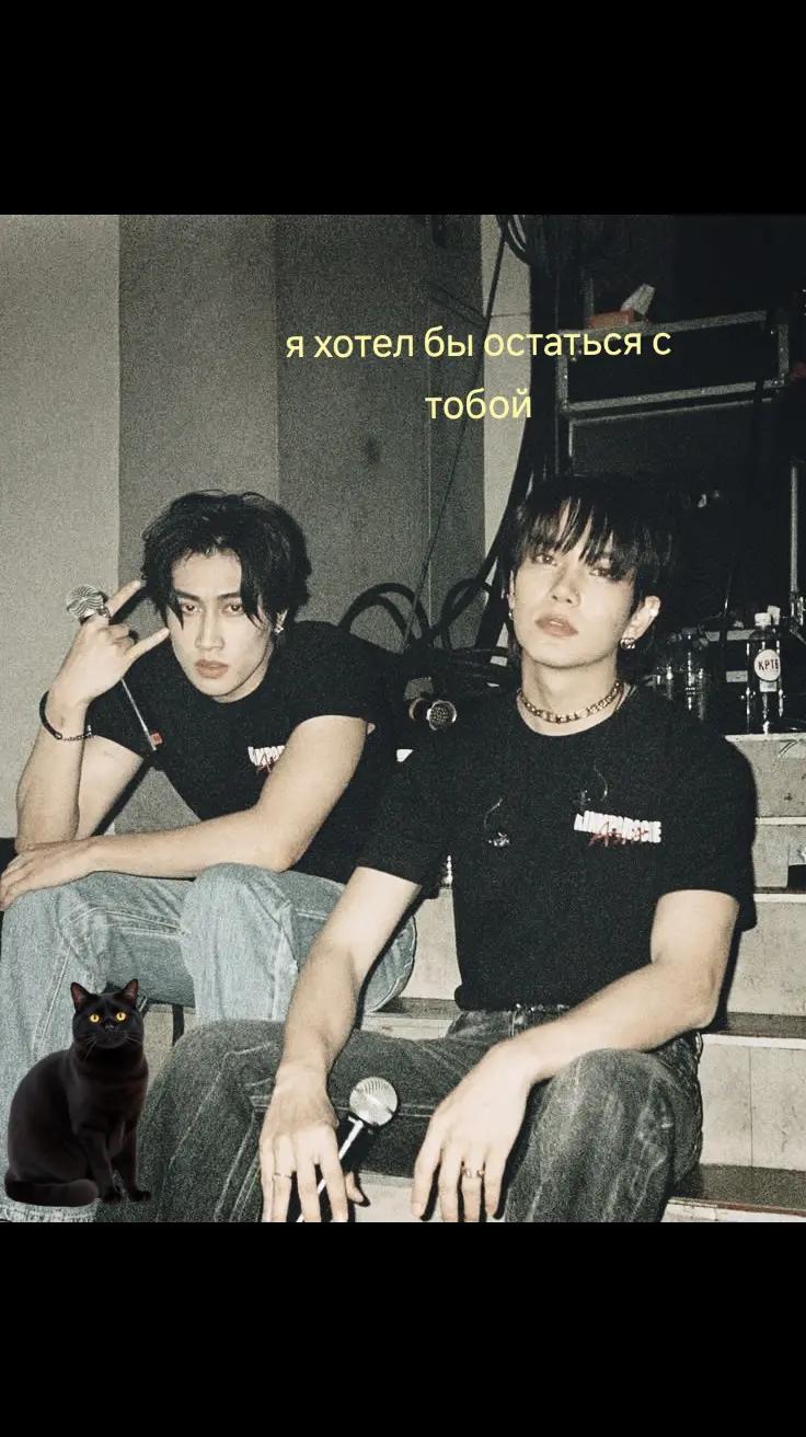 @🐈&zwj;⬛