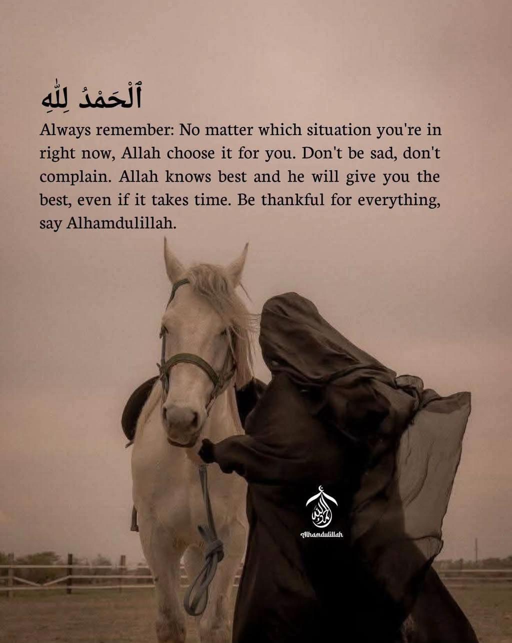 @shahzaibbhatti11.4