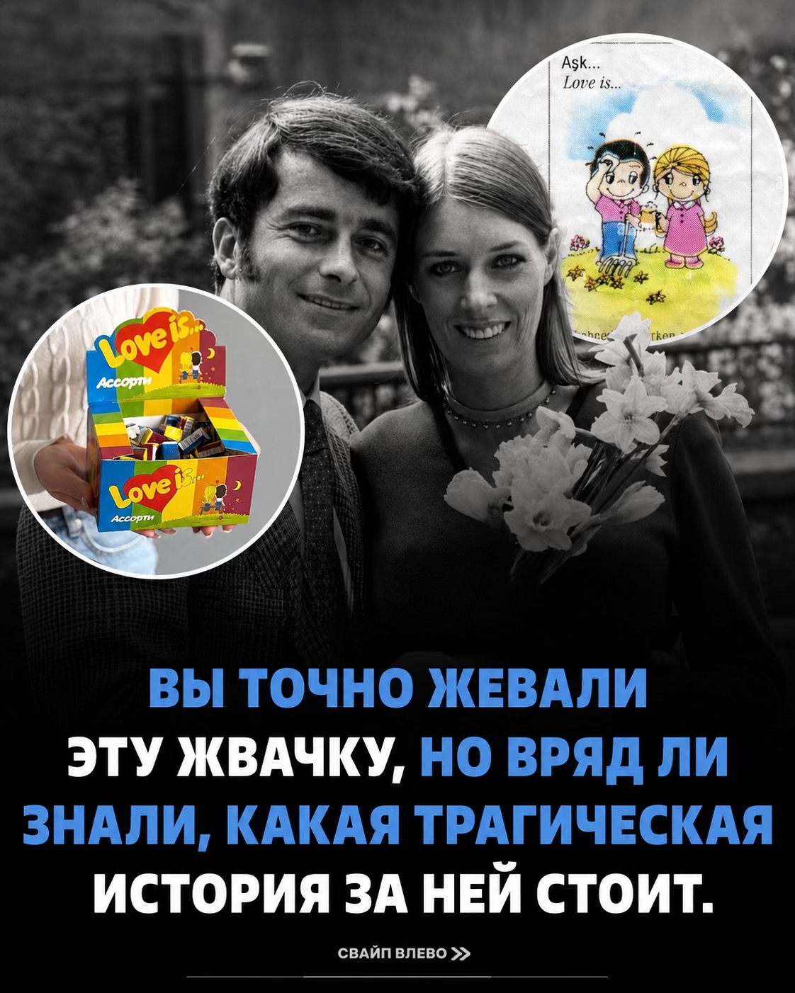 @shamilkhq