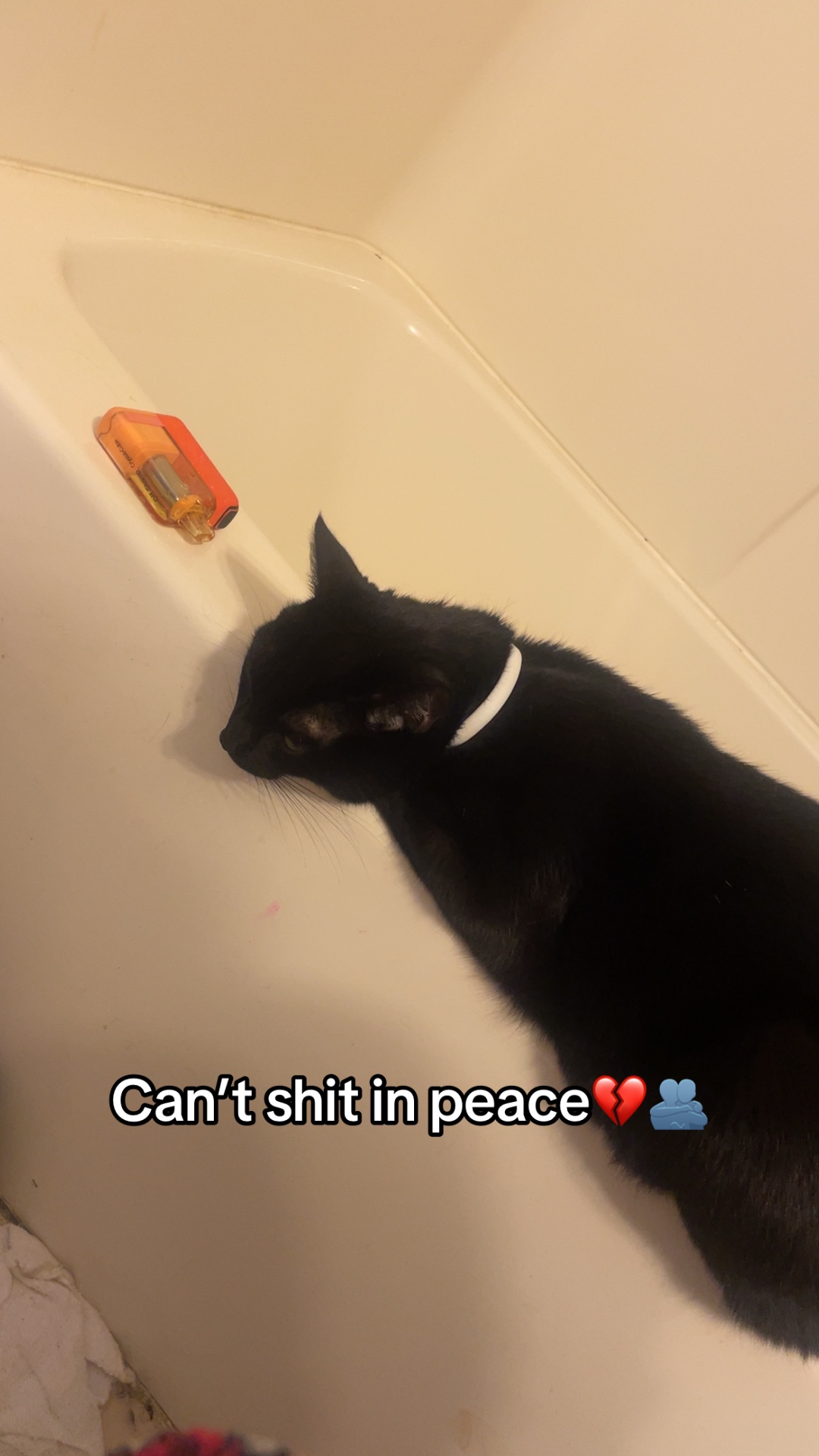 @Alex⁷🫦