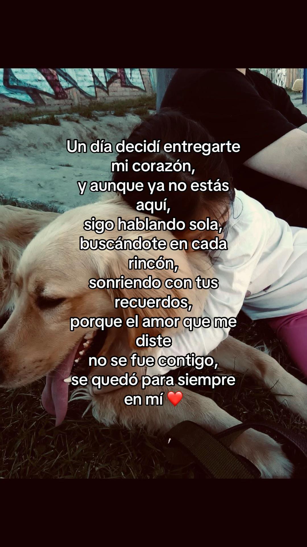 @𝐹𝑒𝓇𝓃𝒶𝓃𝒹𝒶