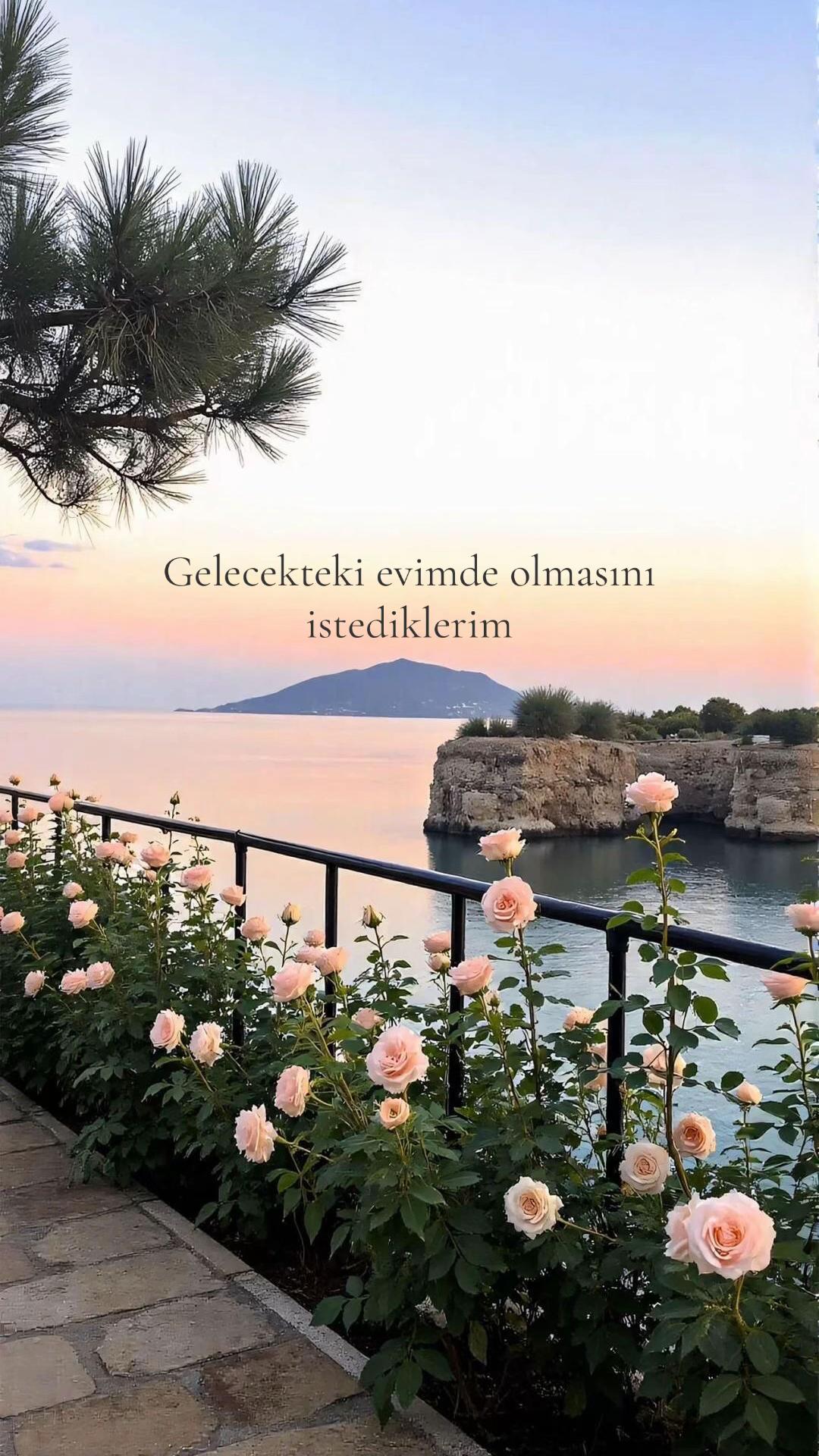 @𝓔 ⋆