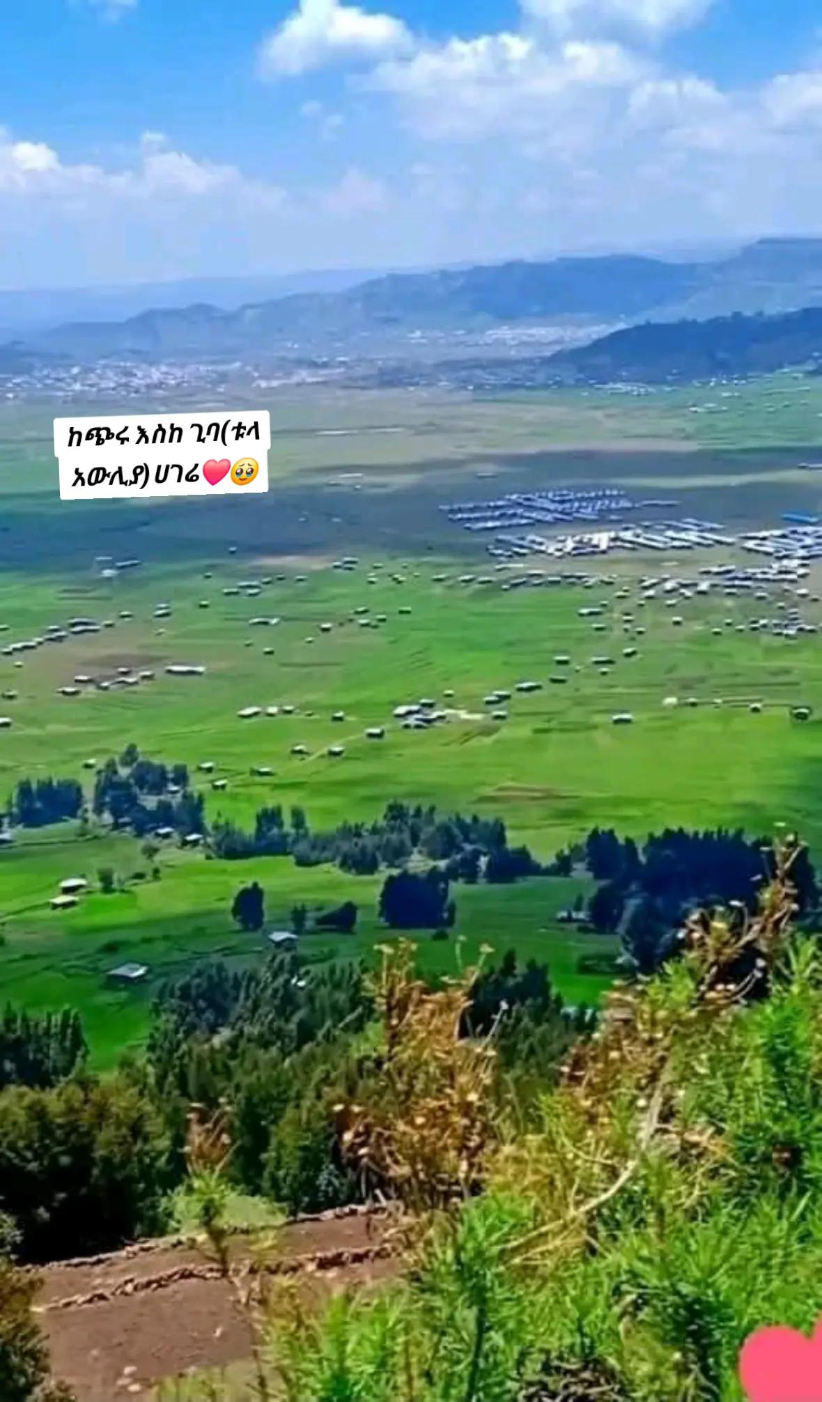 @ቤተ አማራ