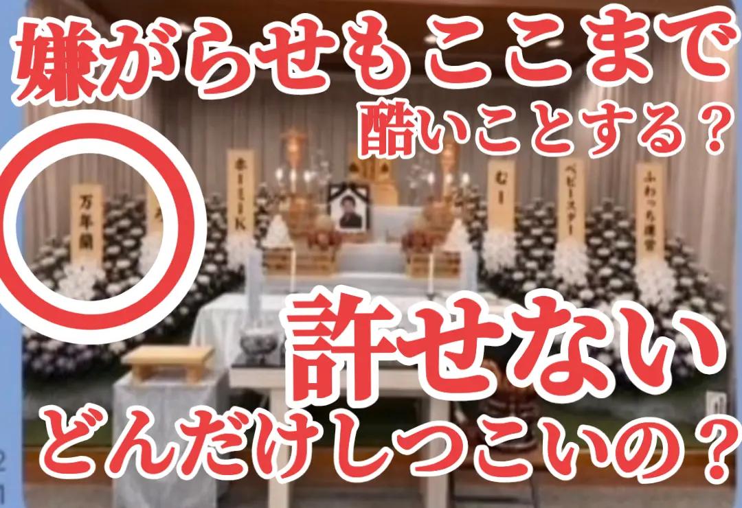 @®️万年蘭🎼︎🤍