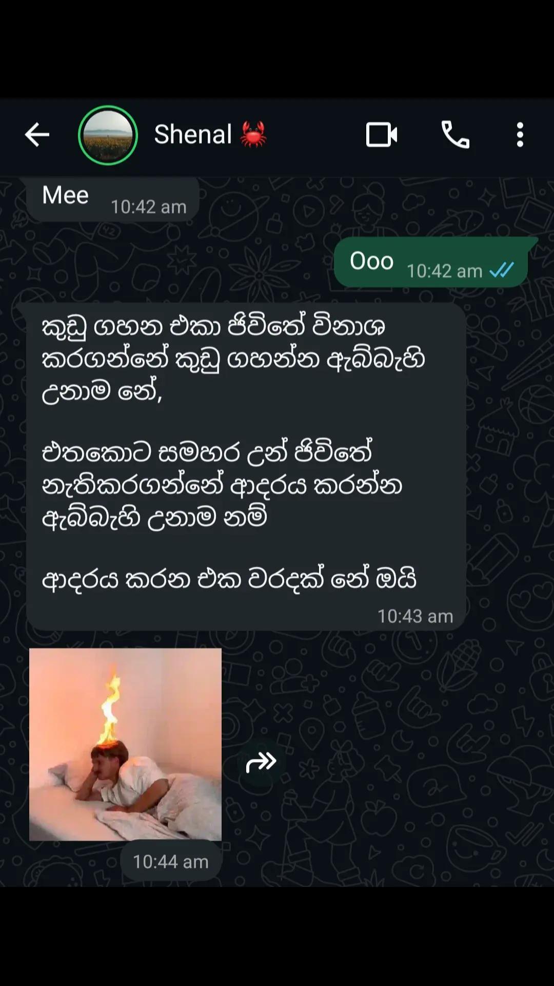 @AsH_perera