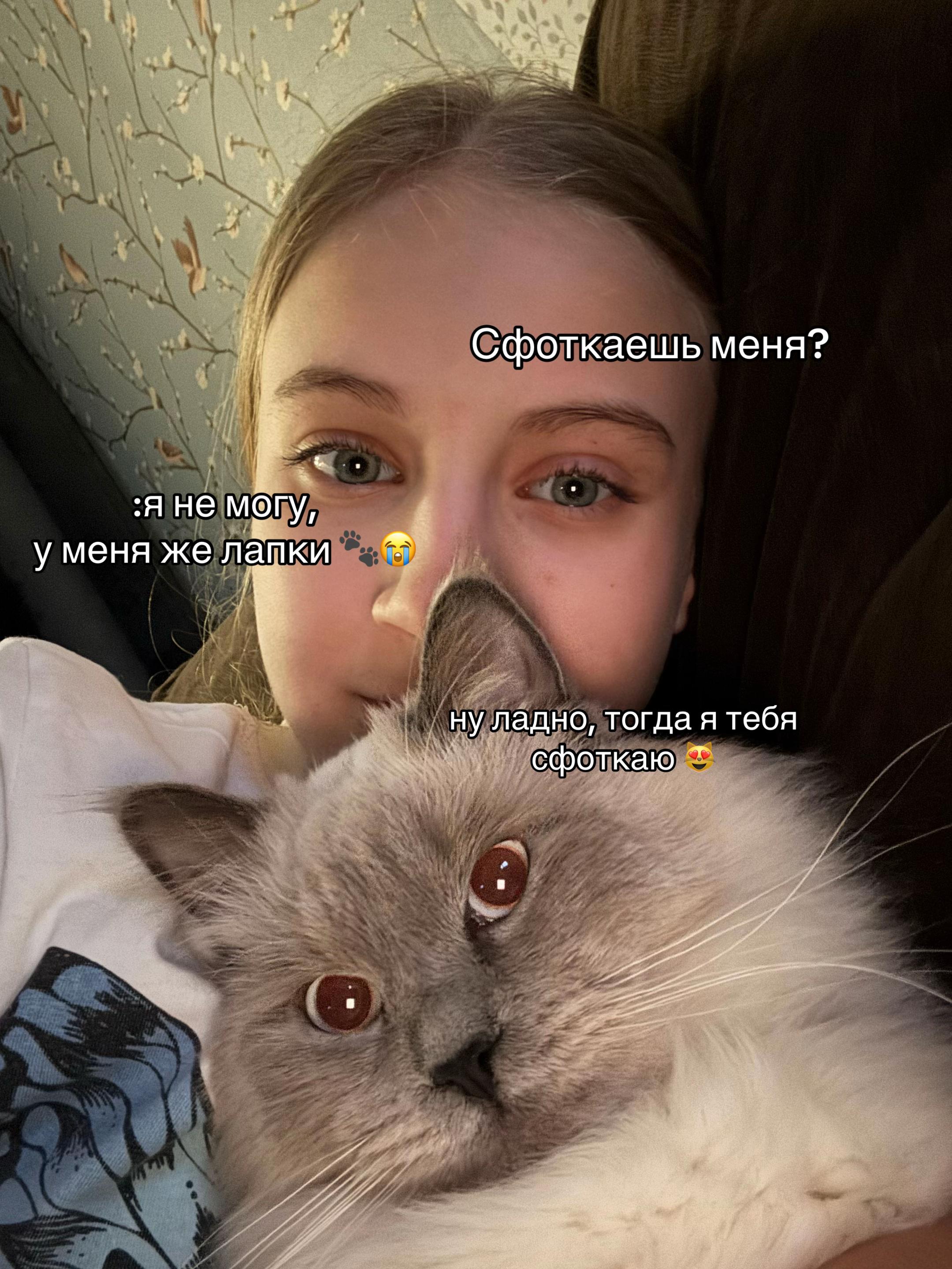 @shulad🪽