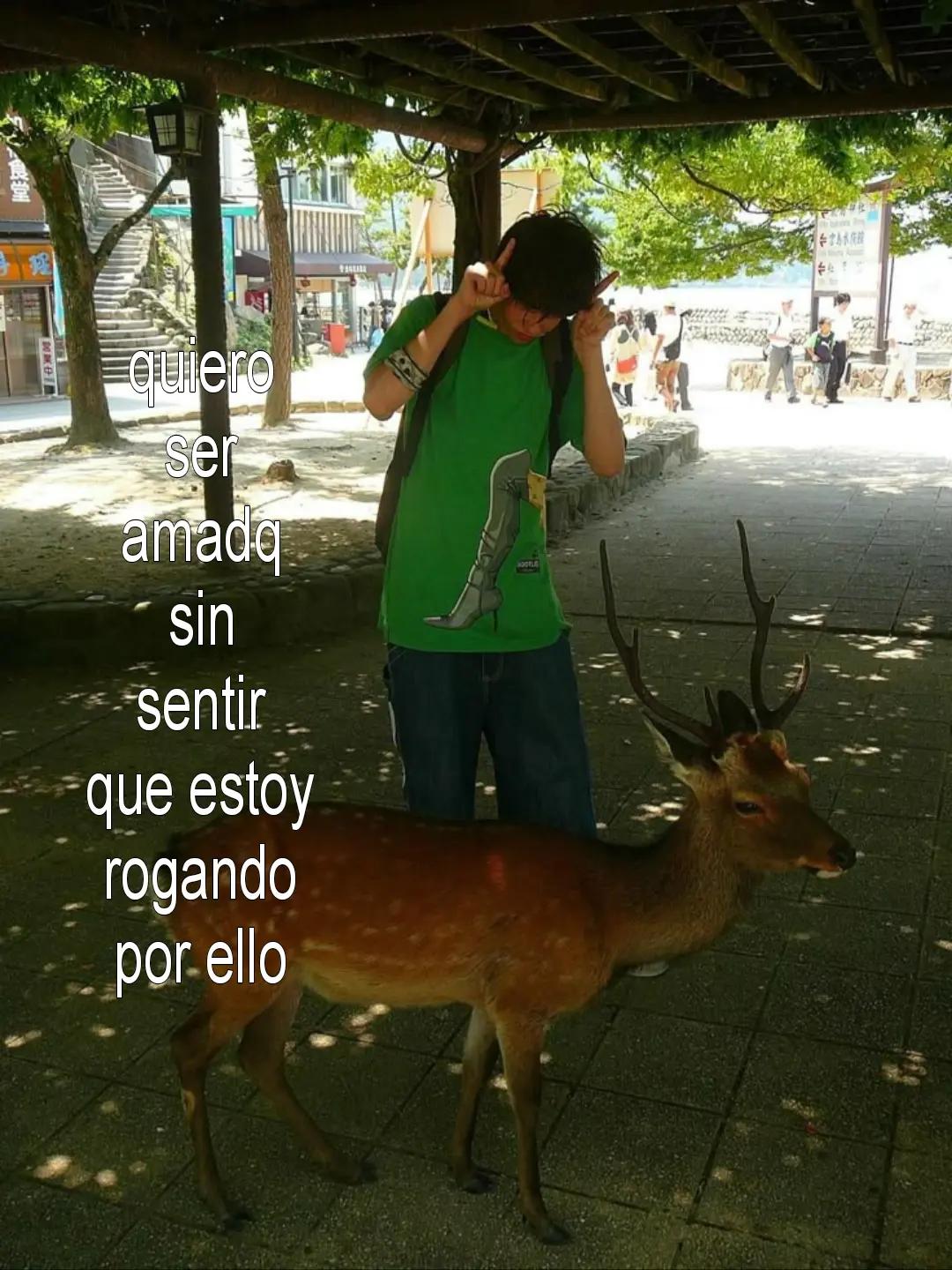 @turbiuss