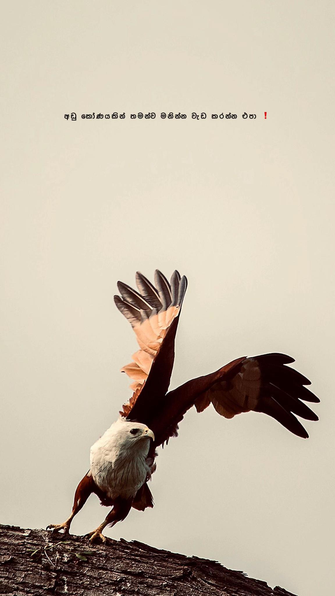 @Diary of Ravindu ๐๐๐จ"