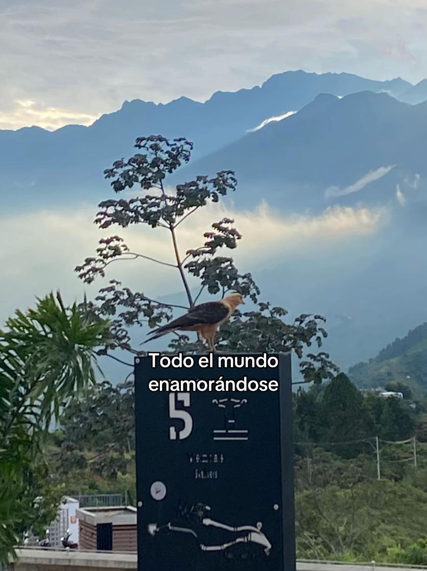 @Juan