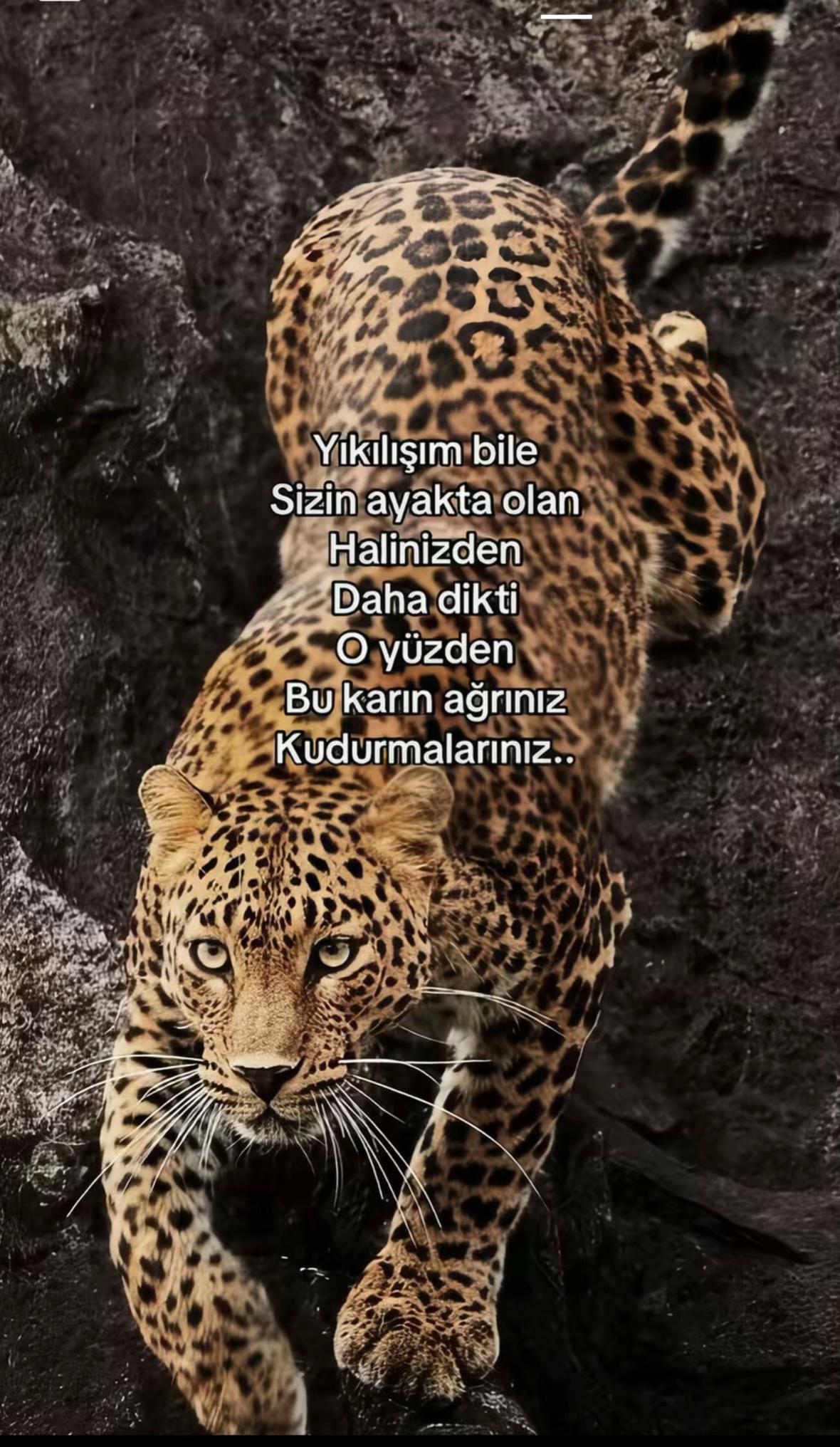 @Hakan Sarıhan